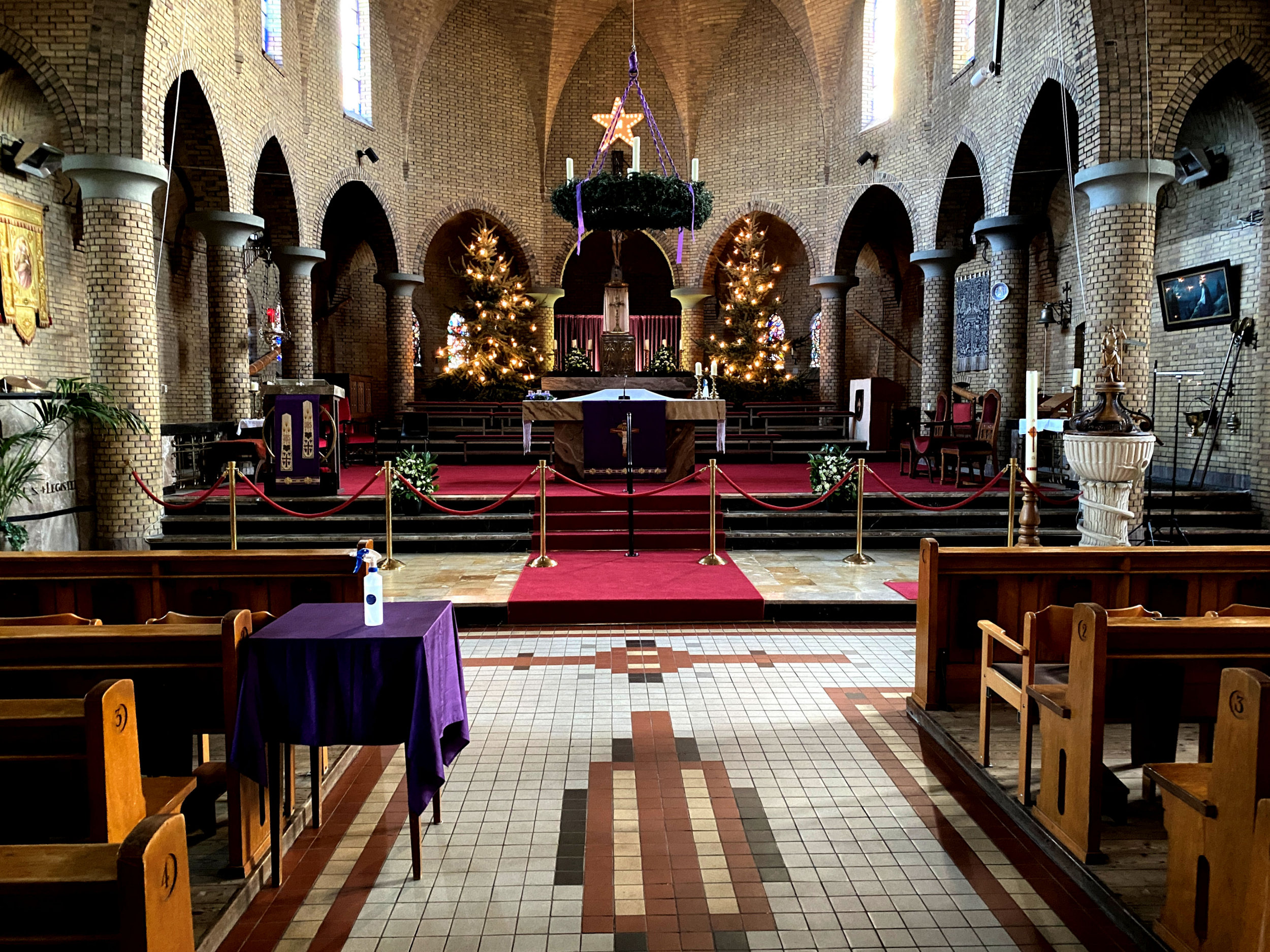 Kerstbomen voor in de kerk